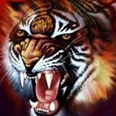 Ansh Nigam