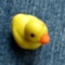 midnightduck