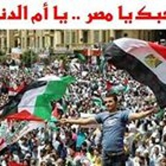 Menna Soltan 1