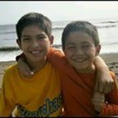 Luis Sanchez Ferrer Silva