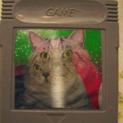 Bradley Scott Surgener