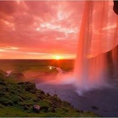 Tanya Candilous Franklin