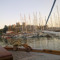 atıl polat