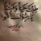 mano2193