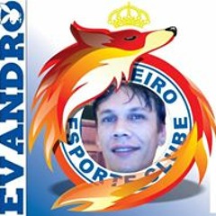 Evandro Luiz Da Silva