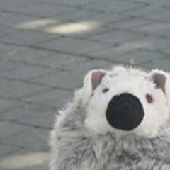 schneeball234