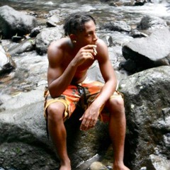 Sensi BridGes