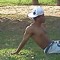 Jeison Andrades