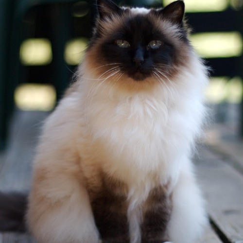 Mrs. Potter's Lullaby - 06/29/04