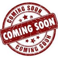 Octavio S Vidiatmaja