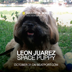 Juarez MM (Leon Juarez)