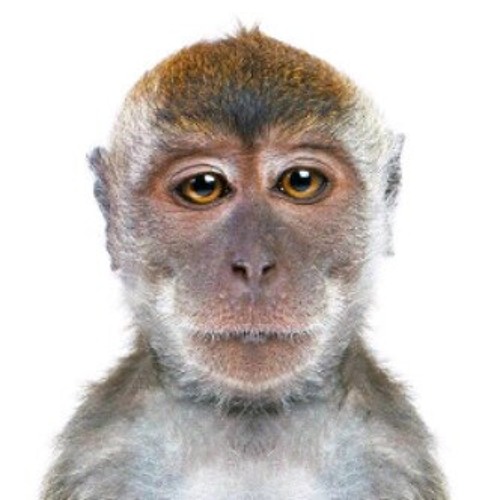 Steam-samfunn :: Veiledning :: Гайд о том как не потерять нервы играя в эту (про