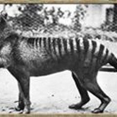 Luis Tonatiuh Ordoñez