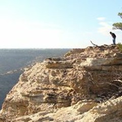 Matt ChainsawBear Sealey