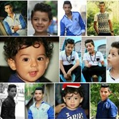 Hamdy Sarwt Hamed