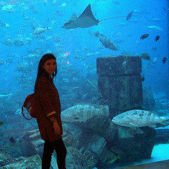 Saima Bukhari