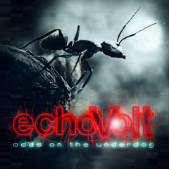 Woaini - Echovolt - Odds On The Underdog