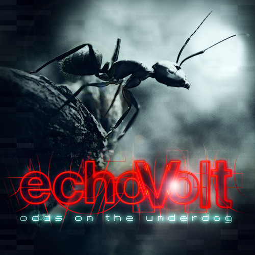 Woaini - Echovolt - Odds On The Underdog