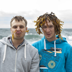 Mindaugellis
