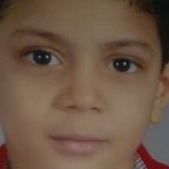 Ahmed Hesien AboAli