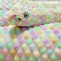 Andromeda muror