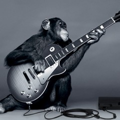 Misguided Strum Monkeys