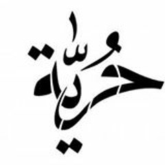 user519808664