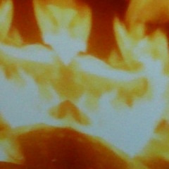 cool-fire-fly