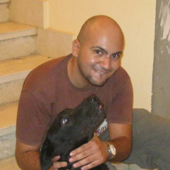 ahmed abdelhafez assal
