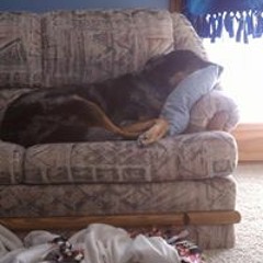 Brandon Marentette 2