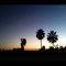 Sydney_Abbott