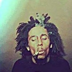 Omar Shaaban 13