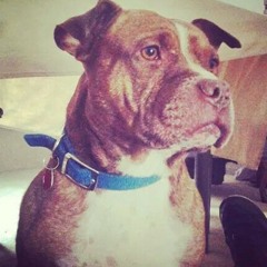 jeffery_the_great