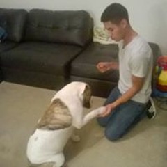 David Alexander Melendez