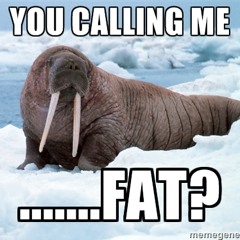 Icy Walrus