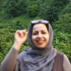 Sedighe Tavakol