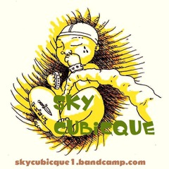 SKY Cubicque