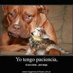 Lolzz