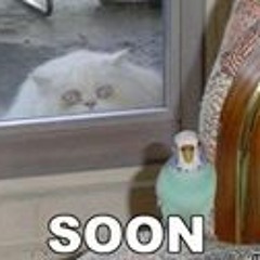 Garrett Scott Lafferty