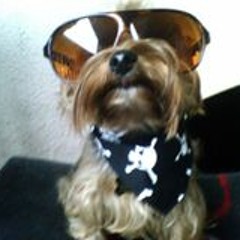 Cuzin Mitch
