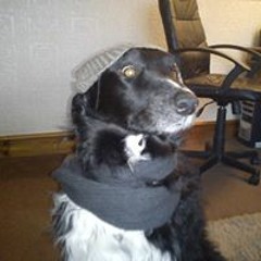 Lynden Magpie Baxter Snr