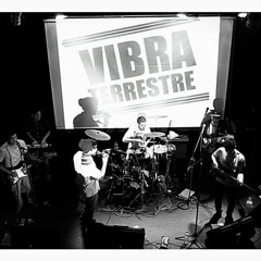 Vibra Terrestre