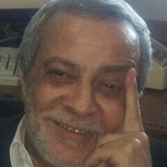Mamdouh ELetrby ===  WARDA
