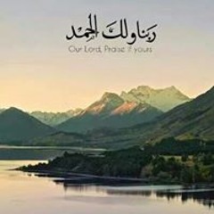 m.elkholy