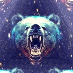 Bear the Universe