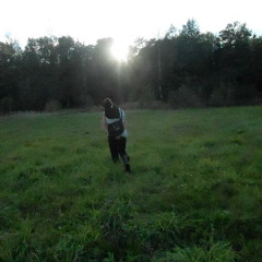 LikiOn