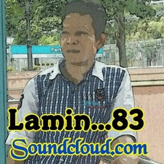 Lamin 87