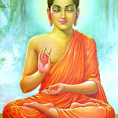 siddartha muse