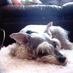 Andres Felipe Caceres