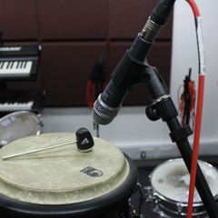 Alberto Diaphragm Studio